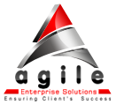 Agile Enterprise Solutions, Inc.